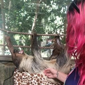 Meet your Posher, Alisa